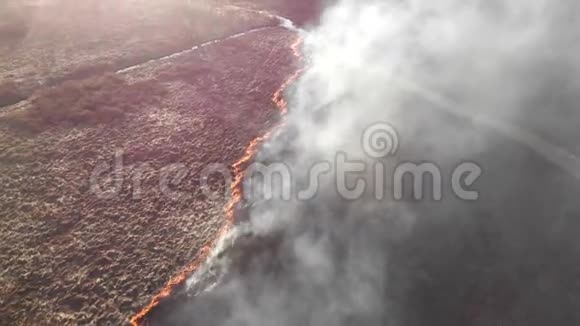 大规模火灾大面积焚烧草木视频的预览图