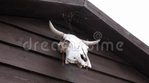 牛的头骨挂在木门上视频的预览图