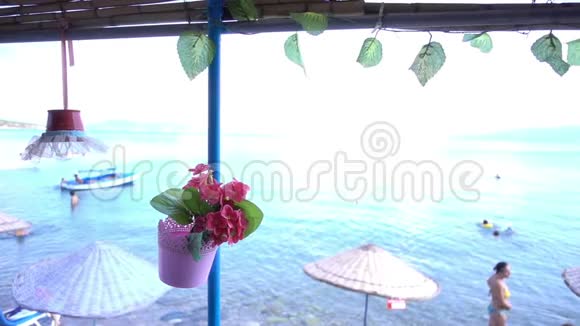 盆栽及假日海滨的仿花视频的预览图