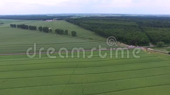 欧洲春天的绿色田野和草地视频的预览图