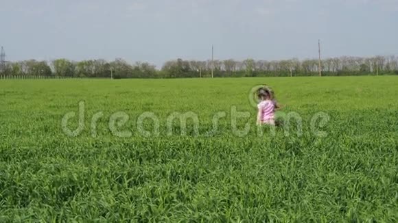 一个孩子在田里玩小女孩掉进了高高的草地里视频的预览图