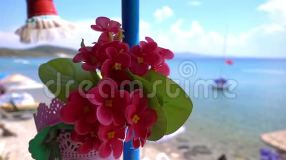 盆栽及假日海滨的仿花视频的预览图