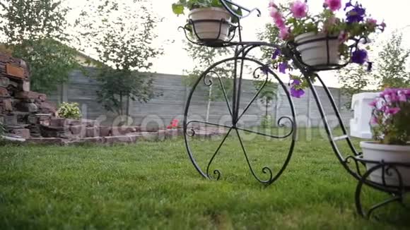 以自行车的形式站在花盆下面视频的预览图