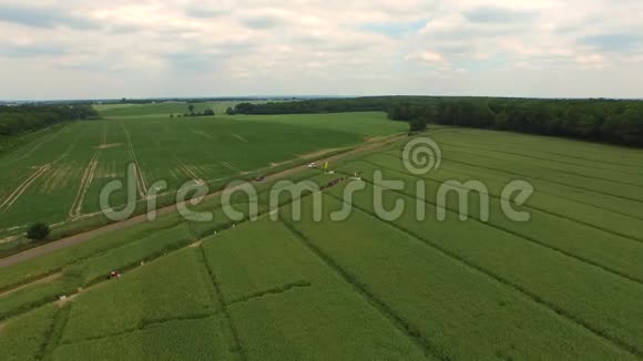 美丽的空中无人机拍摄的绿色农场空中镜头DJIINSPIRE视频的预览图