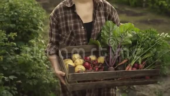 农夫在生态农场里拿着装满新鲜有机蔬菜土豆胡萝卜番茄甜菜萝卜的木箱视频的预览图