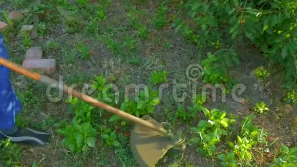 阳光明媚的夏日人们带着割草机和割草机散步视频的预览图