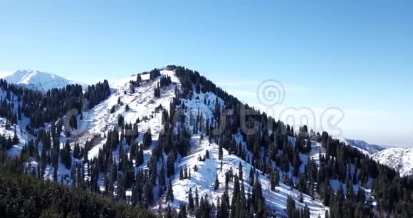 雪山和针叶林用无人机从空中射击视频的预览图