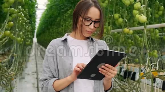 在温室里使用或玩平板电脑的年轻女人绿色植物生长在温暖的房子里视频的预览图