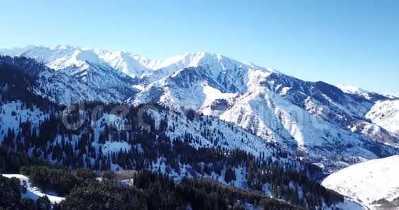 雪山和针叶林用无人机从空中射击视频的预览图
