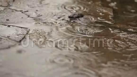 雨滴落在跑道上焦点运动视频的预览图