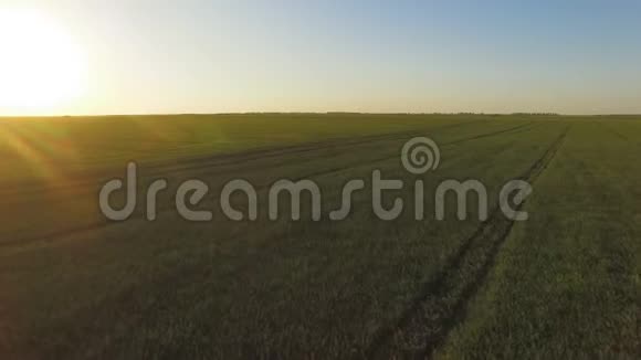 国家绿色田野的鸟瞰大而明亮的太阳升起视频的预览图