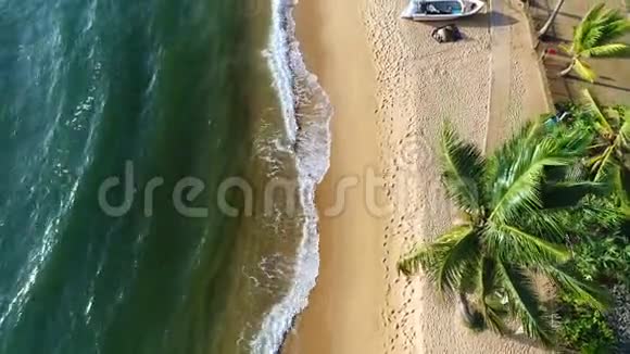 斯里兰卡阳光明媚的一天沙滩的空中景色和被海浪冲刷的树木视频的预览图