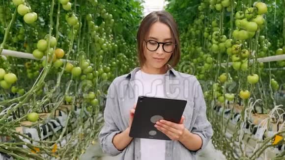 在温室里使用或玩平板电脑的年轻妇女绿色植物生长在温暖的房子里视频的预览图