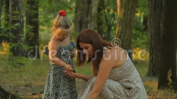 快乐的母女在夏天的森林里收集橡子和锥子视频的预览图