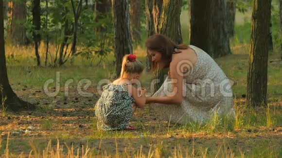 年轻的母亲和小女儿在森林里收集锥子视频的预览图