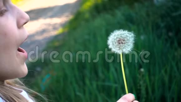 小女孩在绿色草坪上吹蒲公英的花视频的预览图