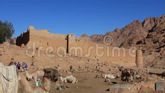 圣凯瑟琳修道院西奈半岛埃及视频的预览图