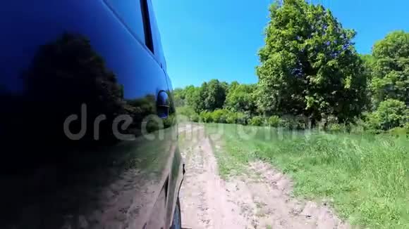 乡村土路美丽的常青树绿波夫背面视频的预览图