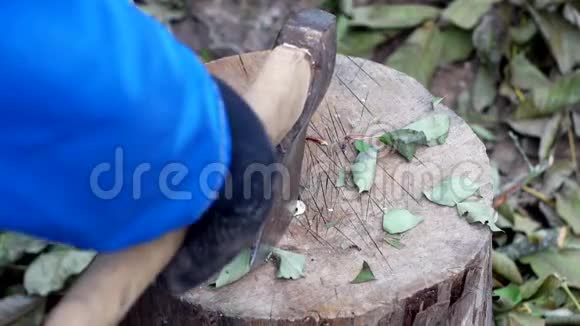一个人用斧子砍树枝在嘎查工作特写砍树枝体力劳动钢铁视频的预览图