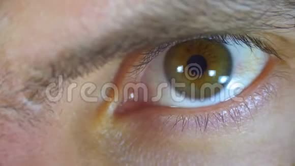 男性人类眼睛眨巴特写镜头视频的预览图