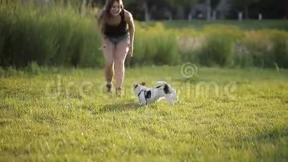 带着她的狗在户外休息的女孩视频的预览图