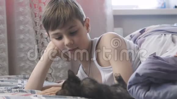 男孩正在卧室的床上和小猫玩耍快乐的童年视频的预览图