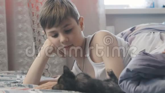 男孩正在卧室的床上和小猫玩耍快乐的童年视频的预览图