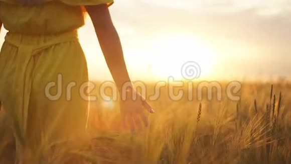 日落时分一个穿红裙子的女孩跑过田野视频的预览图