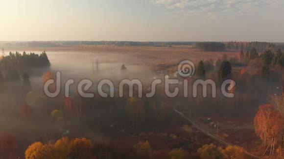 俄罗斯城外清晨雾蒙蒙的航班视频的预览图