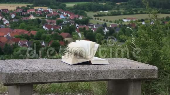 书在石凳上随风而逝书在合上视频的预览图