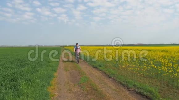 骑自行车的人带着孩子爸爸和一个女儿骑自行车带着油菜的田野健康的生活方式视频的预览图