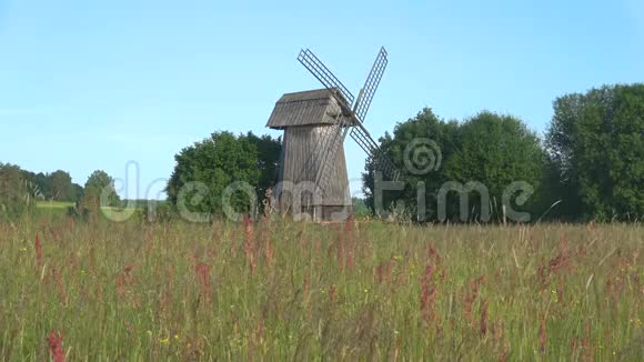 六月阳光明媚的早晨一个古老的木制风车在田野上Mikhailovskoye普希金山视频的预览图