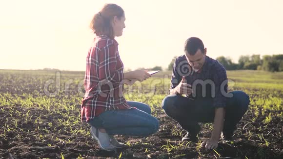 智能生态农业团队使用现代技术在农业慢动作视频农民男女在视频的预览图