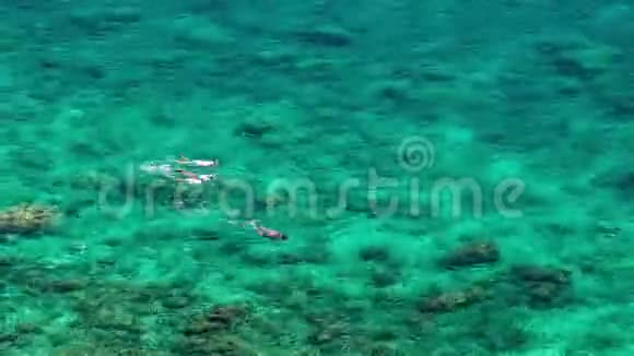 快乐家庭在浮潜面具潜水水下与热带鱼在珊瑚礁海视频的预览图