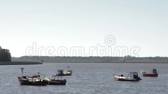 乌拉圭圣露西亚河上航行的船只视频的预览图