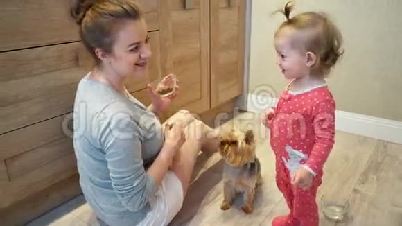 可爱的小女孩和有趣的狗在家里妈妈和女儿正在喂一只小狗视频的预览图