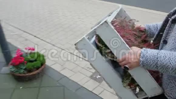 一个女人在她的商店前带着木箱视频的预览图