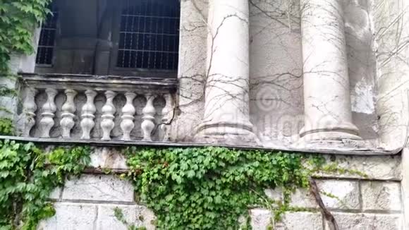 城堡拱门和柱子与绿色常春藤交织在一起视频的预览图