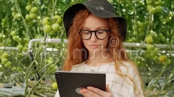 在温室里使用或玩平板电脑的年轻妇女绿色植物生长在温暖的房子里视频的预览图