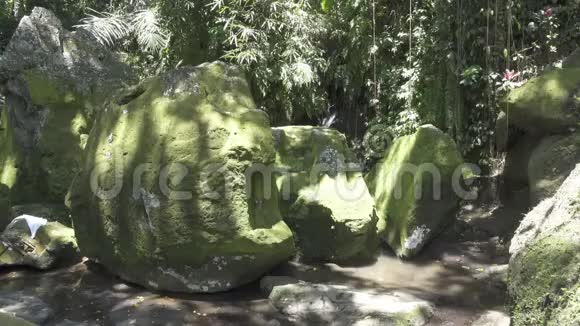 GoaGajah或大象洞位于印度尼西亚Ubud附近的巴厘岛它建于9世纪视频的预览图