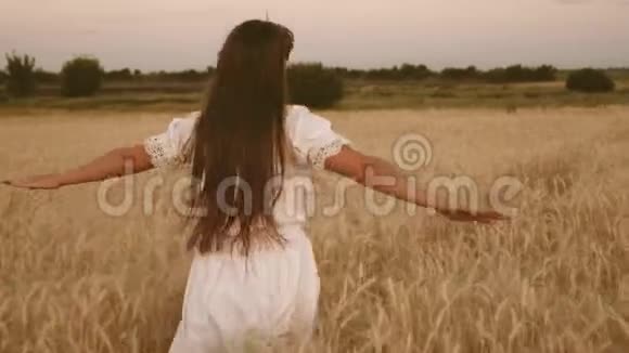 女孩在田野里旅行生态旅游理念快乐的女孩走过一片黄麦地触摸耳朵视频的预览图