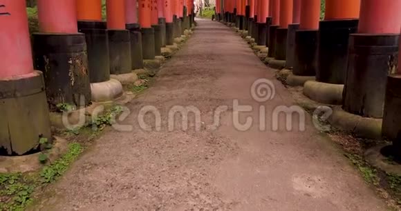 FushimiInari神社向上颜色分级4k视频的预览图