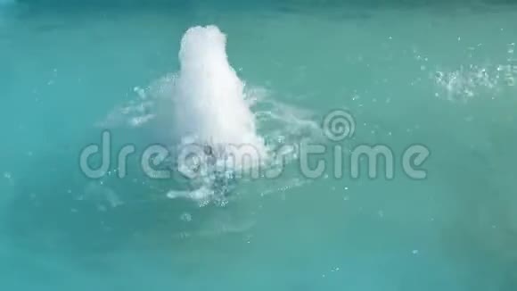 喷泉喷水夏季喷雾视频的预览图