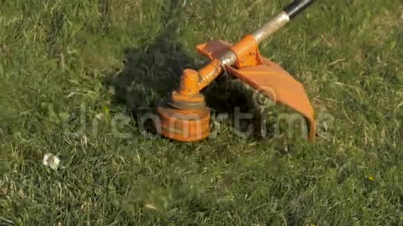 工人用除草机在花园里割草慢动作视频的预览图
