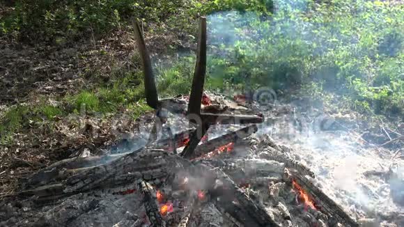 篝火篝火中的老椅子视频的预览图