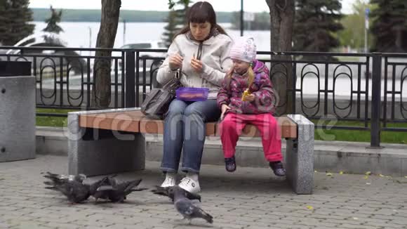 母亲和女儿在寒冷阴天吃三明治喂鸽子视频的预览图