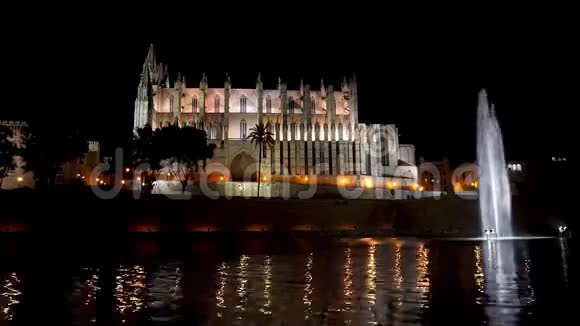 西班牙巴利阿里群岛帕尔马德马略卡大教堂夜间时间视频的预览图
