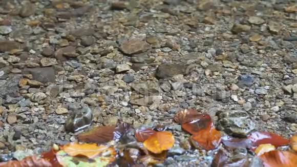 清澈的溪水在鹅卵石上荡漾视频的预览图
