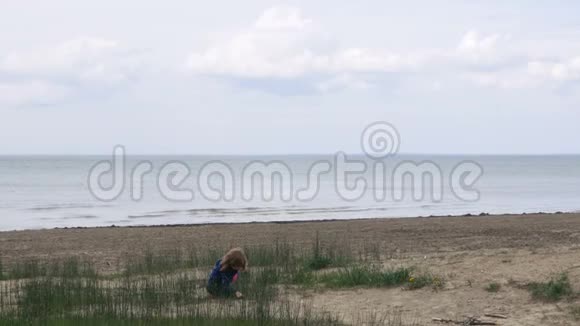 安大略省湖沙中玩耍的小女孩向镜头奔跑视频的预览图