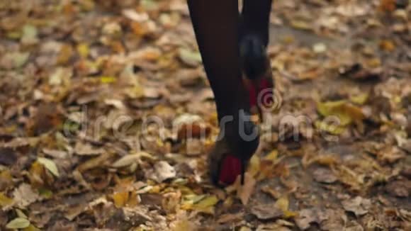 一个年轻的女人走在秋天的公园里走在黄色的树叶上视频的预览图